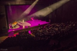 Spectacle Artshow 2017