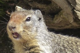 Le blog se réveille