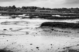 Rivière du Bono à Plougoumelen