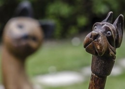 Cannes chien et chat