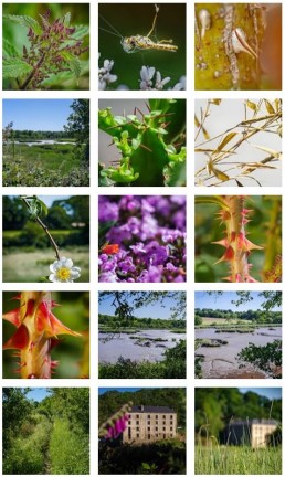 Publications instagram lecouffe