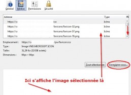 L'onglet M&eacute;dias de Firefox