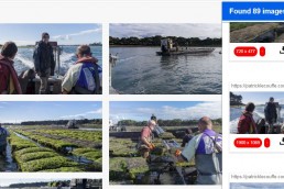 Capture d'écran téléchargement images