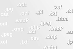 Diverses extensions images