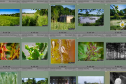 Affichage des photos renommées par date