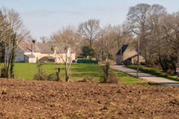 Image redimensionnée