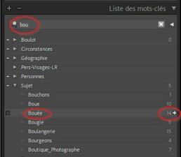 Recherche par mots-cl&eacute;s